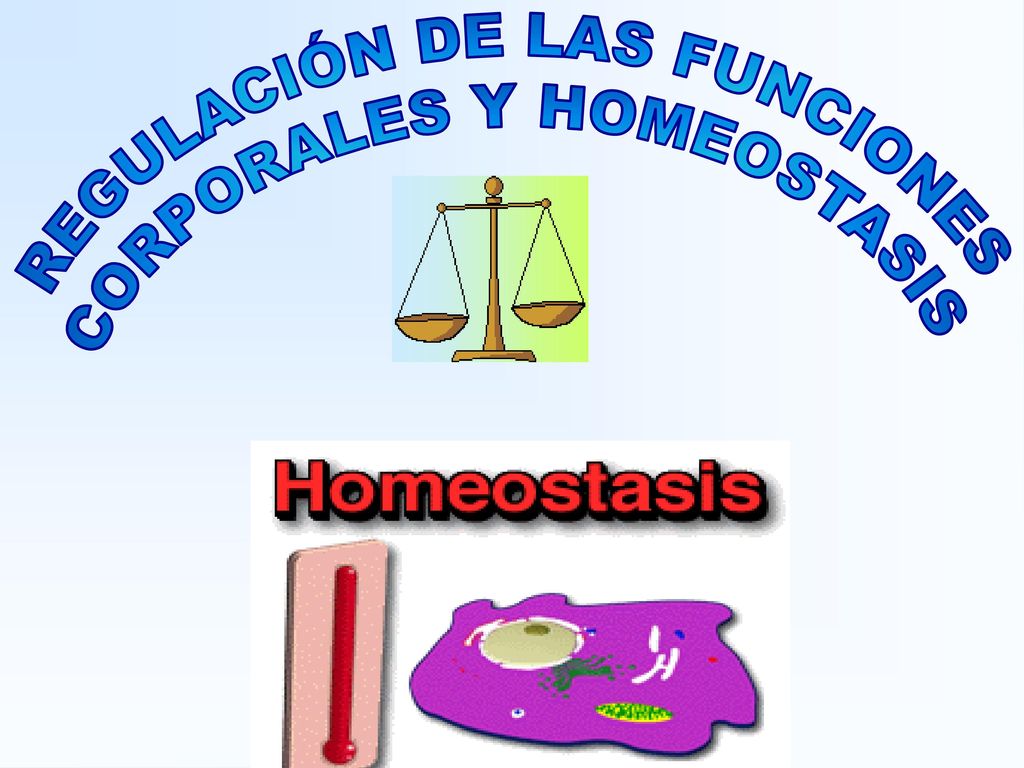 papel del riñón humano en la homeostasis de la glucosa y la diabetes papel del riñón humano en la homeostasis de la glucosa y la diabetes